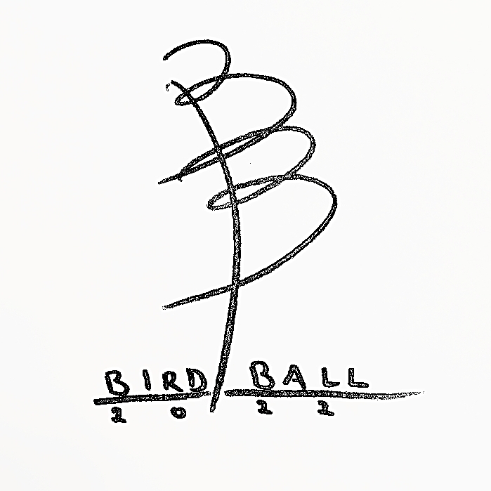 BirdBall